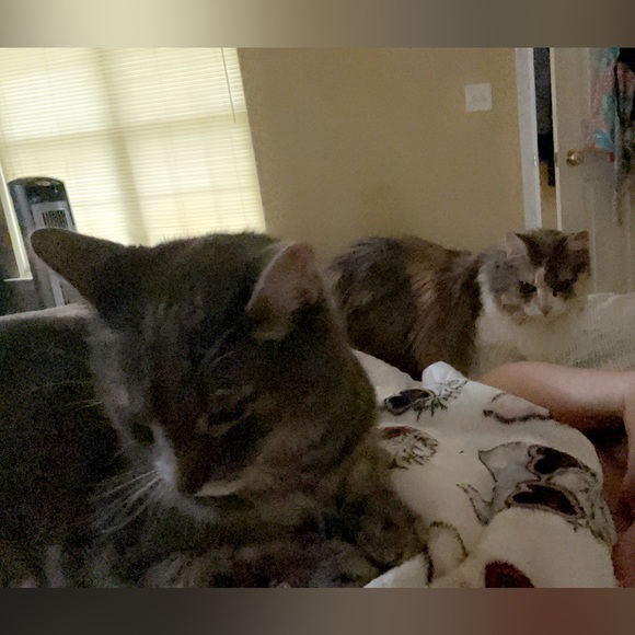 DOLLEDUP IS LIVE π Share Show- Be Kind. Show Grace. Support Each Other π - Picture 17 of 17